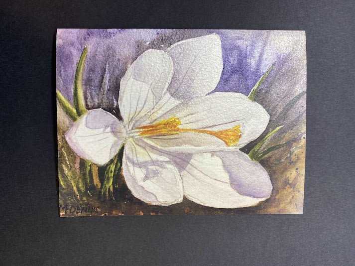 Flower Note Card Series Set