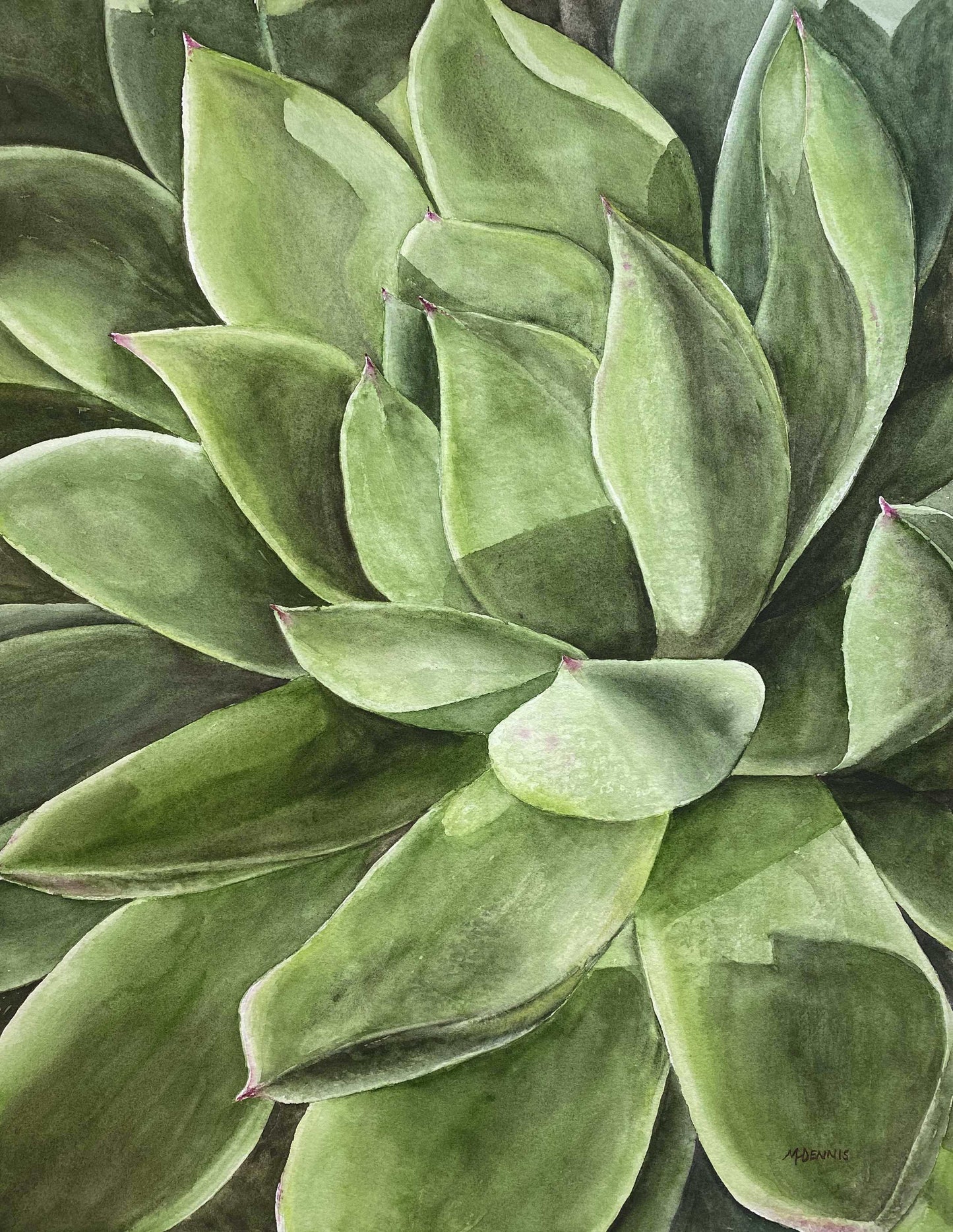 California Succulent