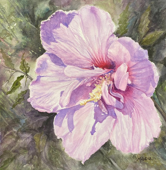 Hibiscus of Hawaii