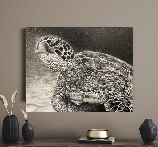 Sea Turtle charcoal drawing